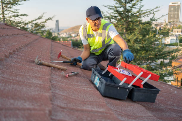 Best Shed Removal  in Haledon, NJ
